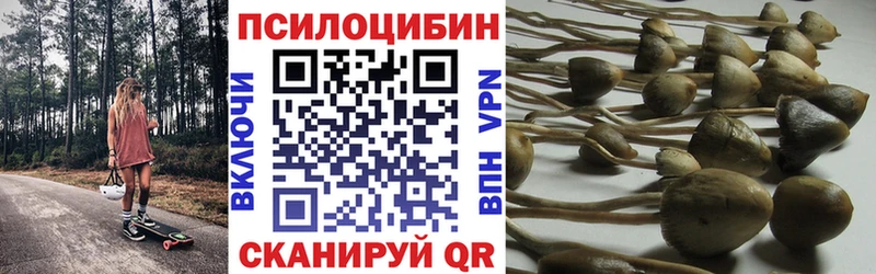 Купить  Павловский Посад  Галлюциногенные грибы GOLDEN TEACHER 
